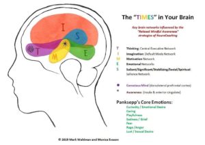 Brain Network Theory and TIMES